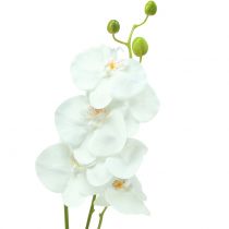 Orkidea Phalaenopsis keinotekoinen valkoinen 80cm