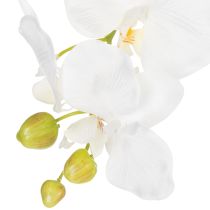 kohteita Keinotekoinen orkideakasvi, petollisen realistinen, toimiston ja olohuoneen sisustukseen, 62 cm