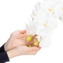 kohteita Keinotekoinen orkideakasvi, petollisen realistinen, toimiston ja olohuoneen sisustukseen, 62 cm
