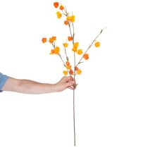 kohteita Keinotekoinen kiinalainen lyhtykasvi, Physalis-oksa kukkineen, 95 cm