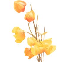 kohteita Keinotekoinen kiinalainen lyhtykasvi, Physalis-oksa kukkineen, 95 cm