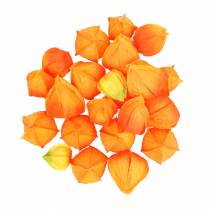 kohteita Physalis Orange Assorted 22 kpl koristeellisia tekokukkaverhoja