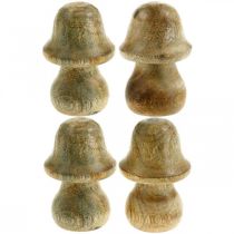 Sieni mangopuu luonnollinen puinen sieni syksykoristeita Ø5cm K7,5cm 6 kpl