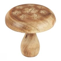Puinen sienikoristelu sienipuinen koristelu luonnollinen syyskoriste Ø15cm K14,5cm