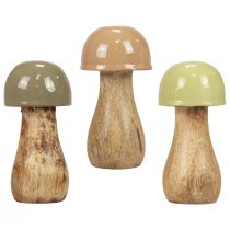 Puiset sienet koristesienet puu beige, vihreä Ø5cm K10.5cm 6kpl