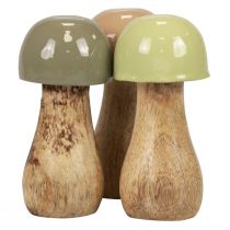 Puiset sienet koristesienet puu beige, vihreä Ø5cm K10.5cm 6kpl