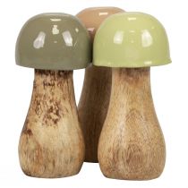 kohteita Puiset sienet koristesienet puu beige, vihreä Ø5cm K10.5cm 6kpl