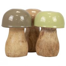 Puiset sienet koristesienet puu beige, vihreä Ø5cm 7,5cm 12kpl
