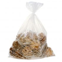 kohteita Käpyjä Pinus Käpyjä kerma sekoitettuna 5-18cm 25 kpl