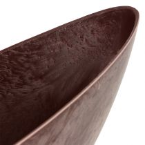 Kasvikulho Bordeaux 39cm x 12cm K13cm 1kpl