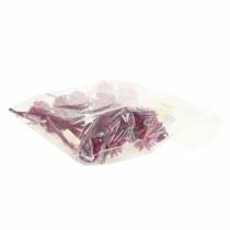 kohteita Plumosum 1 Erika 25 kpl