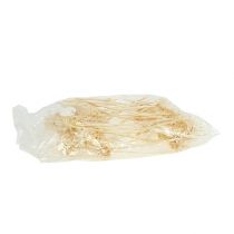 kohteita Plumosum 1 valkaistu 25 kpl