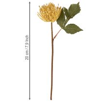 kohteita Protea keinotekoinen neulatyyny Leucospermum keltainen 30cm 6 kpl