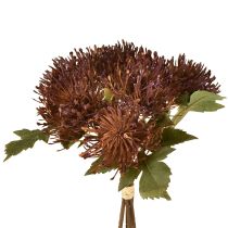 kohteita Protea-keinotekoinen neulatyyny Leucospermum violetti 30cm 6 kpl