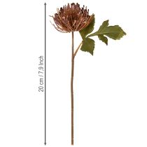 kohteita Protea-keinotekoinen neulatyyny Leucospermum violetti 30cm 6 kpl