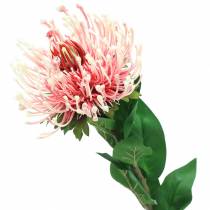 Protea keinotekoinen vaaleanpunainen 73cm