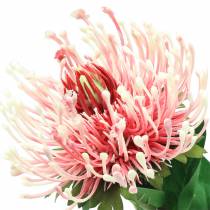 Protea keinotekoinen vaaleanpunainen 73cm