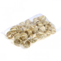 kohteita Kurpitsakoristelu Bell Cup Pumpkin Cup valkaistu 50 kpl