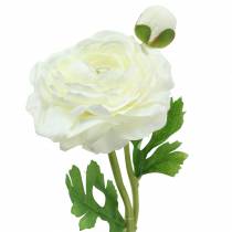 kohteita Keinotekoinen kukka ranunculus, kukka ja silmu valkoinen H34cm