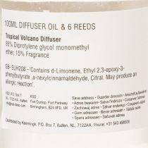 kohteita Huonetuoksudiffuusori eksoottisella kookoksen ja mangon tuoksulla pitkäkestoiseen raikkauteen kotona, 19 cm, 2 kpl