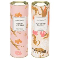 kohteita Huonetuoksudiffuusori eksoottisella kookoksen ja mangon tuoksulla pitkäkestoiseen raikkauteen kotona, 19 cm, 2 kpl