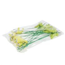 kohteita Puinen toukka tikussa vihreä, keltainen 8cm 24 kpl