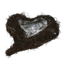 kohteita Viiniköynnöksen sydän istutukseen luontoon 30cm x 25cm