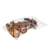 kohteita Repens Rosette Light 8-9cm 25 kpl