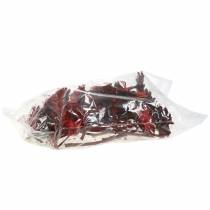 kohteita Repens Rosette Red 8cm - 9cm 25 kpl