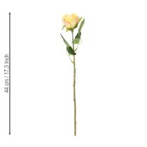 kohteita Ruusukimppu-asetelma olohuoneen tyylikkääseen sisustukseen 44 cm 6 kpl