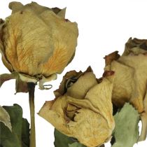 Kuivatut kukkaruusut, ystävänpäivä, kuivatut kukkakaupat, maalaismaiset koristeruusut kelta-violetti L45-50cm 5kpl