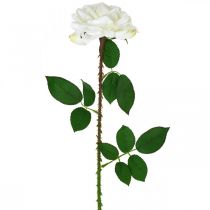Valkoinen ruusu Fake Rose varressa Silk Flower Fake Rose L72cm Ø13cm
