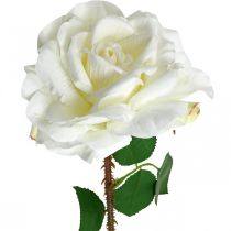 Valkoinen ruusu Fake Rose varressa Silk Flower Fake Rose L72cm Ø13cm