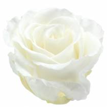 Infinity ruusut isot Ø5,5-6 cm valkoiset 6kpl