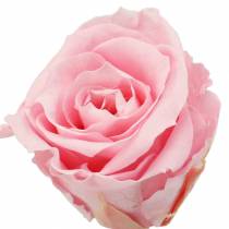 kohteita Eternal Roses Medium Ø4-4,5cm Pinkki 8 kpl