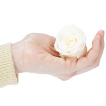 kohteita Säilöttyjä ruusunpäitä, kestävä pöytäkoriste romanttiseen tunnelmaan, hääkoriste, 5 cm, 6 kpl