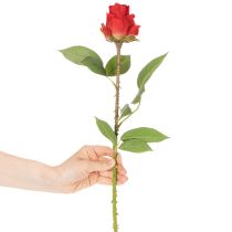 kohteita Ruusunoksa silkkikukka keinotekoinen ruusu punainen 72cm 3kpl