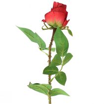 Ruusunoksa silkkikukka Keinotekoinen ruusunpunainen 72cm