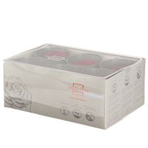 kohteita Punaiset Ruusut Infinity Ruusut Aidot Ruusunpäät Punaiset Ø6cm 6 kpl