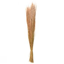 kohteita Red Bent Grass Agrostis Dry Grass Punainen Ruskea 65cm 80g