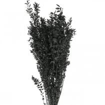 Ruscus oksat koristeelliset oksat kuivatut kukat musta 200g