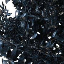 Ruscus kuivatut koristeoksat Ruscus Black 1kg