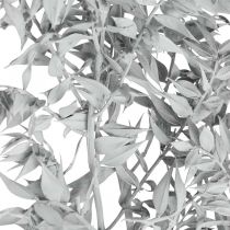 Ruscus-oksat, Teurastajan luuta, Kuiva kasvi Valkoinen pesty L58cm 80g