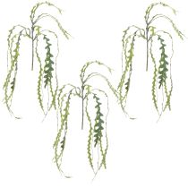 kohteita Keinotekoinen sahalehtikaktus Epiphyllum anguliger L68cm 3 kpl