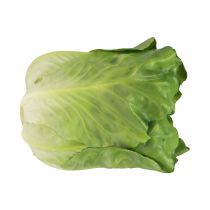 Salaattipään vihreä koristesalaattiruokanuket 14cm