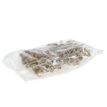 kohteita Salignum kalkittu protea varressa 25 kpl