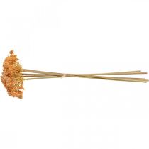 kohteita Siankärsämyksen tekokukat oranssi 50cm 5kpl nipussa