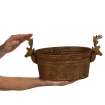 kohteita Koristeellinen kulho, poronpää, soikea, ruosteenvärinen, maalaismainen, 41cm