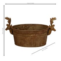 kohteita Koristeellinen kulho, poronpää, soikea, ruosteenvärinen, maalaismainen, 41cm