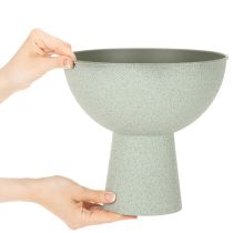 kohteita Kulho ja teline kasveille, koristekulho, 25 cm